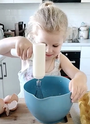 Wireless Handheld Beater